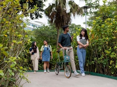 Environmental-Sustainability