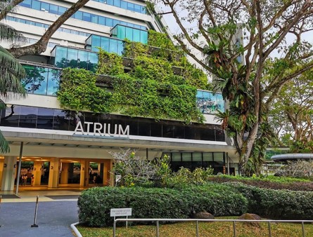 Living walls or vertical gardens called Green Wall at Blk 1