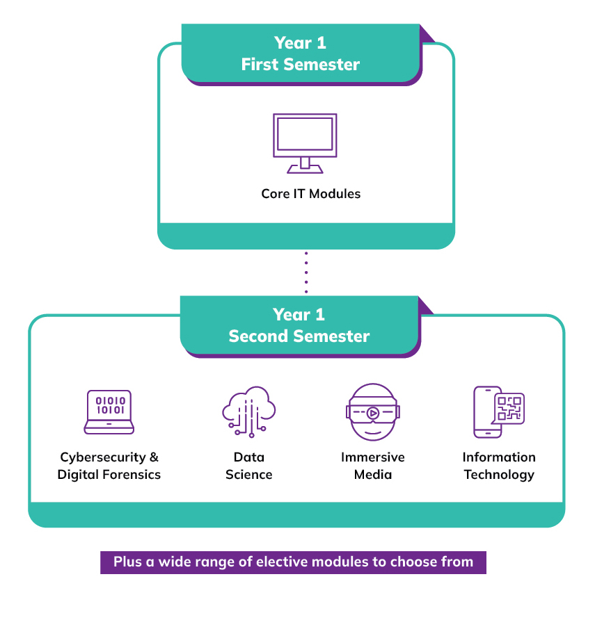 Infographic for Common ICT Programme