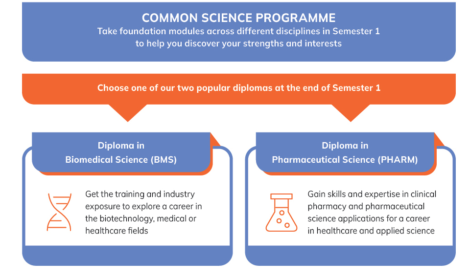 Infographic for Common Science Programme (CSP)