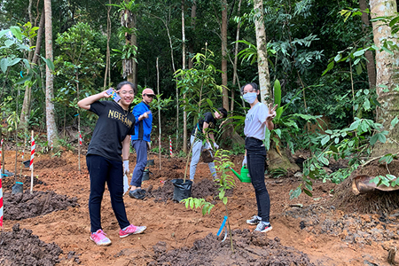 Greening Singapore