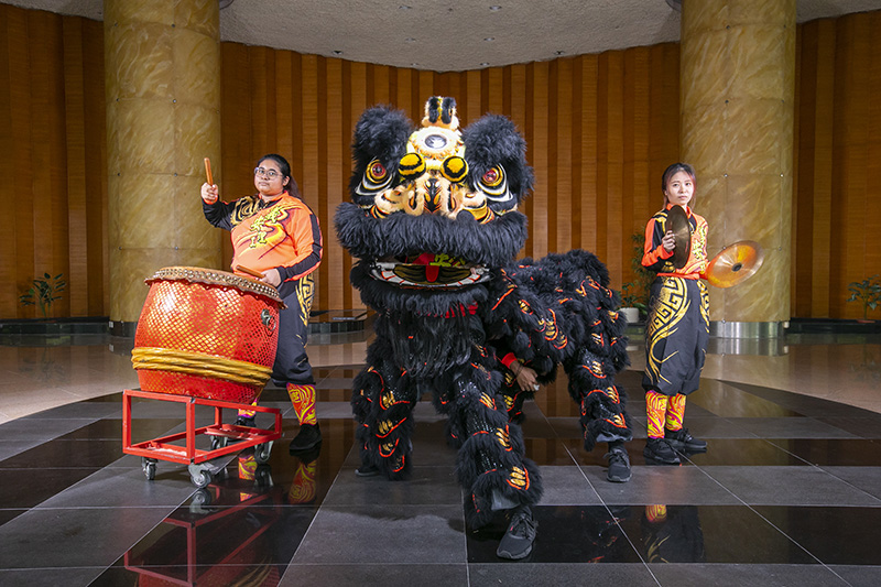 Dragon Lion Dance